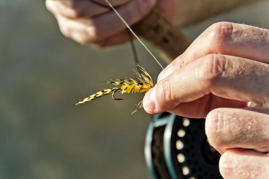 a person holding a fly on a string