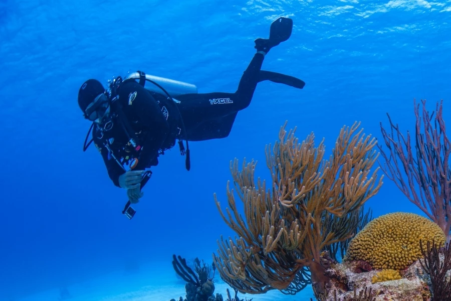 a person in a scuba suit underwater