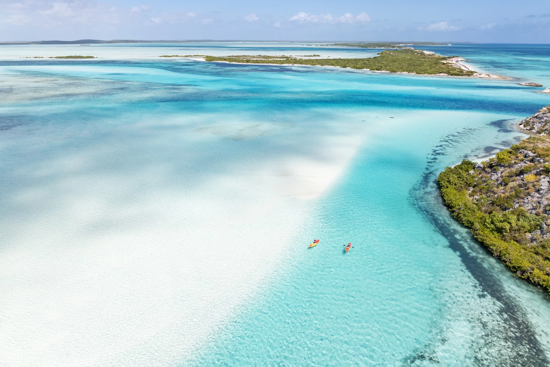 a group of people kayaking in the water