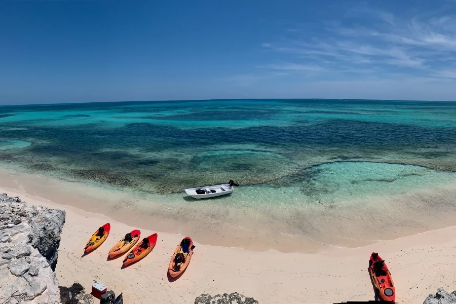 a group of kayaks on a beach