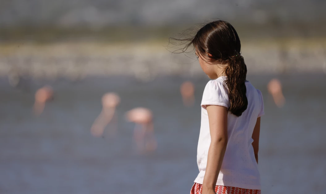 a girl standing in front of water with flamingos in the background