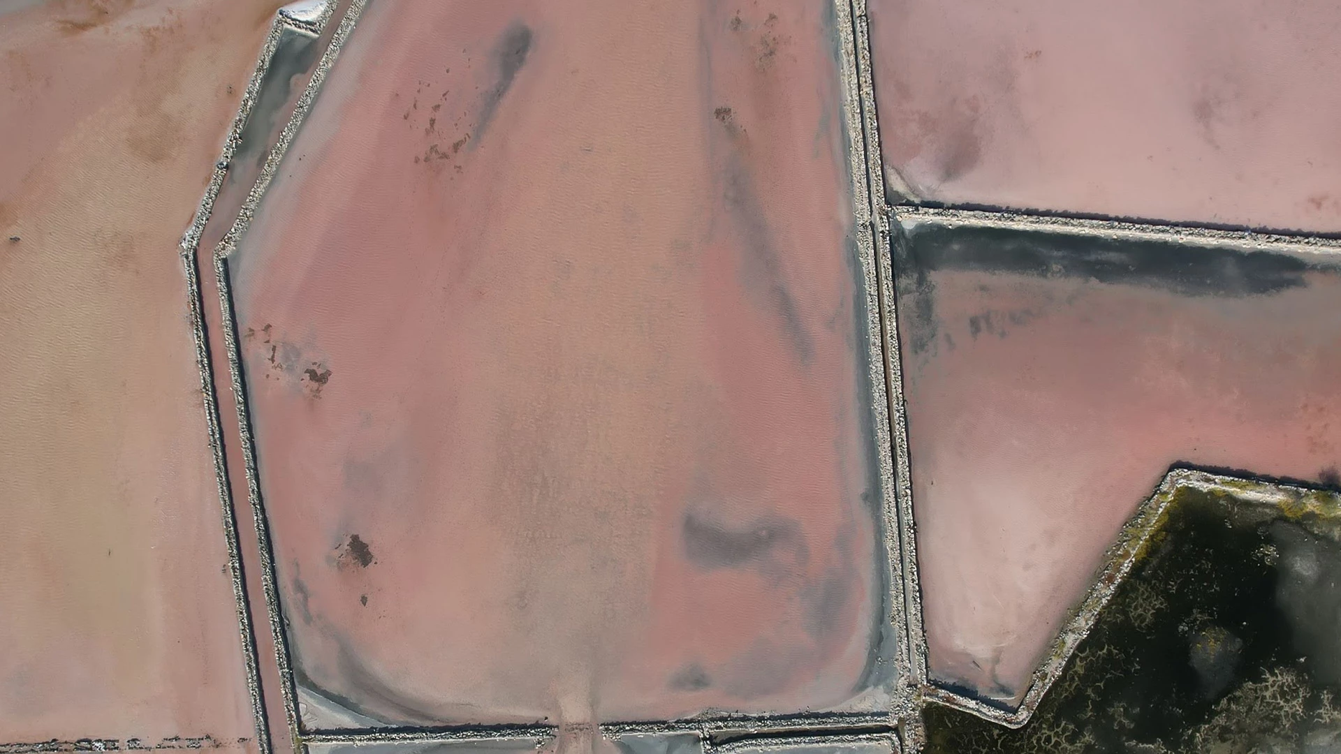 Salt ponds interspersed across the South Caicos landscape