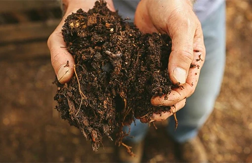 a close-up of hands holding dirt