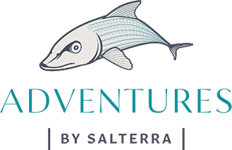 Adventures by Salterra