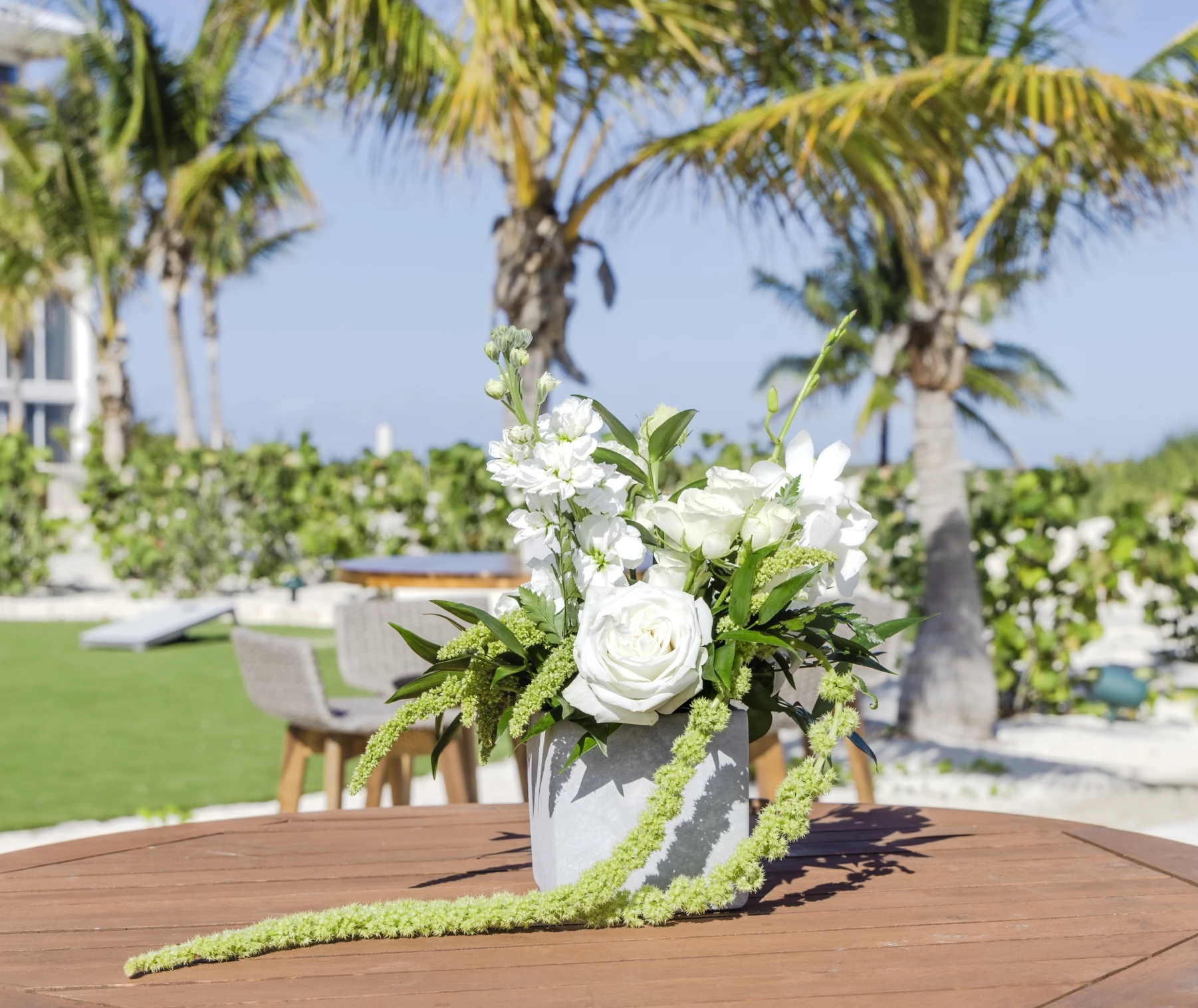 a white flowers in a pot on a table