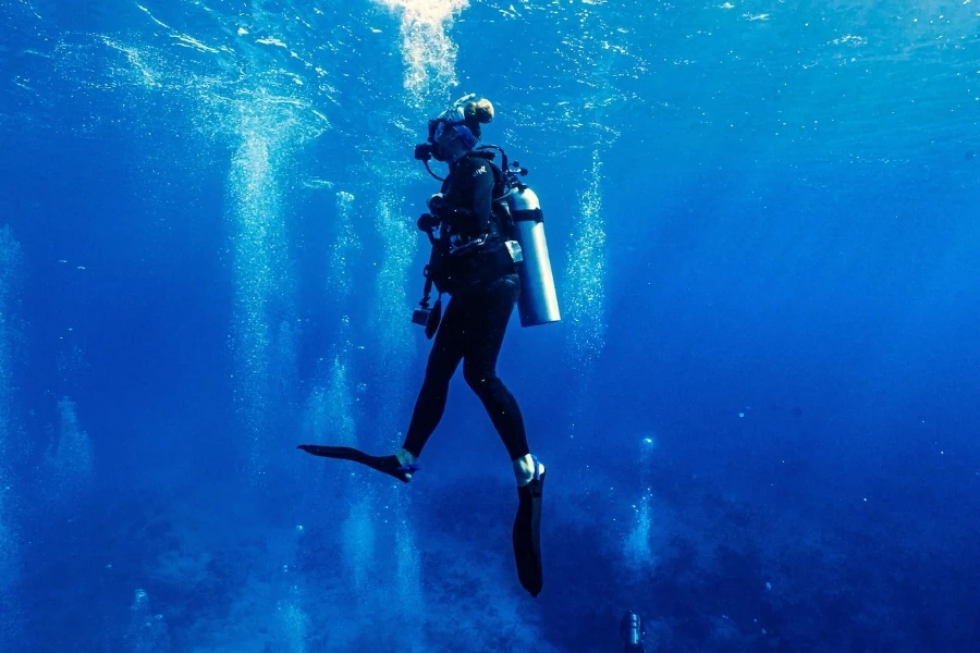 a person in a scuba suit